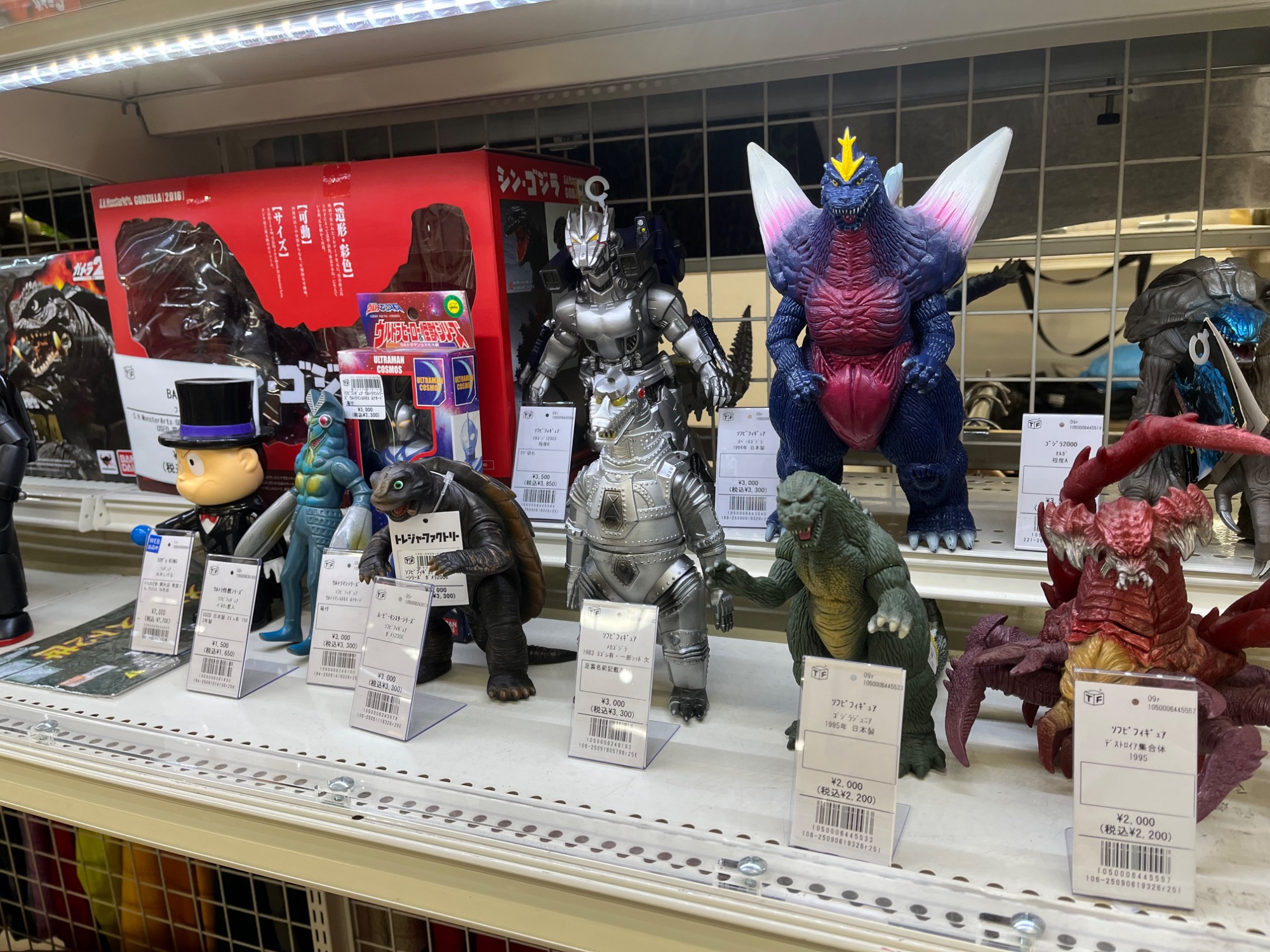 GOJIN 中古　ゴージン　Botanize コラボ　　HOPE フィギュア専門店 -ソダチトイズ / 予約 Hard Shell Studio