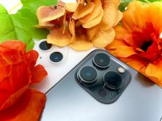 トレファクラパーク岸和田店ブログ