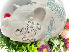 トレファクラパーク岸和田店ブログ