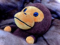 トレファクラパーク岸和田店ブログ