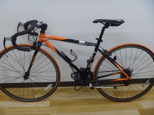 ロードバイクのドッペルギャンガー