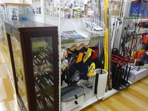 関西の岸和田　スポーツ