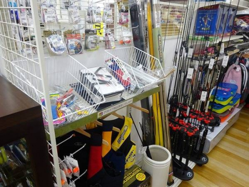 関西の岸和田　スポーツ