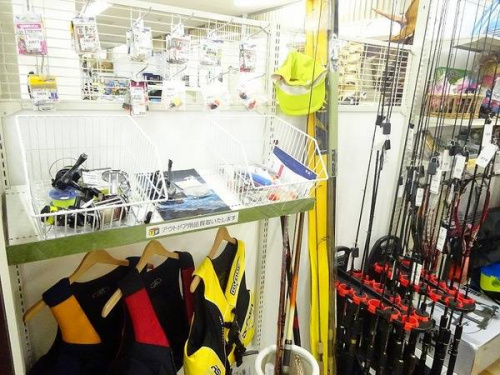 関西の岸和田　スポーツ