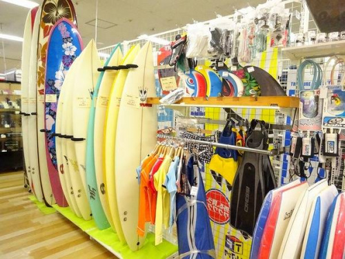 関西の岸和田　スポーツ