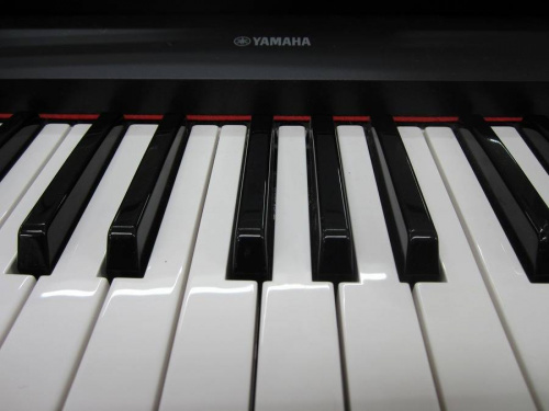 楽器・ホビー雑貨のキーボード