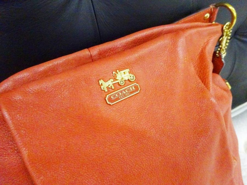 17年03月08日：画像８