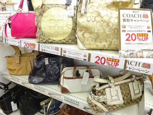 17年10月04日：画像６