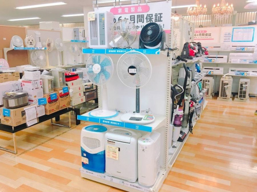 生活家電の扇風機　中古