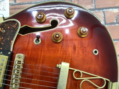 最終値下げ　Aria Pro 2 TA-02 セミアコ エレキギター Aria Proll ProII TA-200 BK(Black) セミアコースティックギター