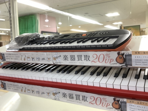 22年04月11日：画像８