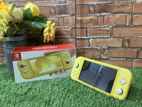 ホビーのNintendo Switch Lite