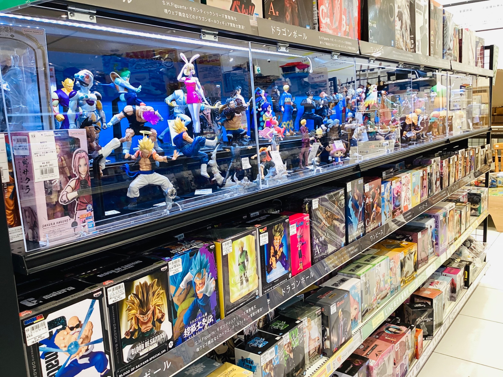 お買い得なフィギュア多数ご用意しております！！｜2024年12月13日
