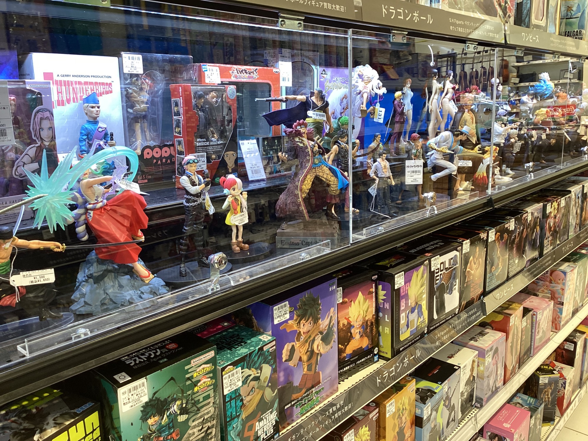 Nommi 晩安子熊のご紹介です！！｜2025年12月16日｜リサイクルショップ