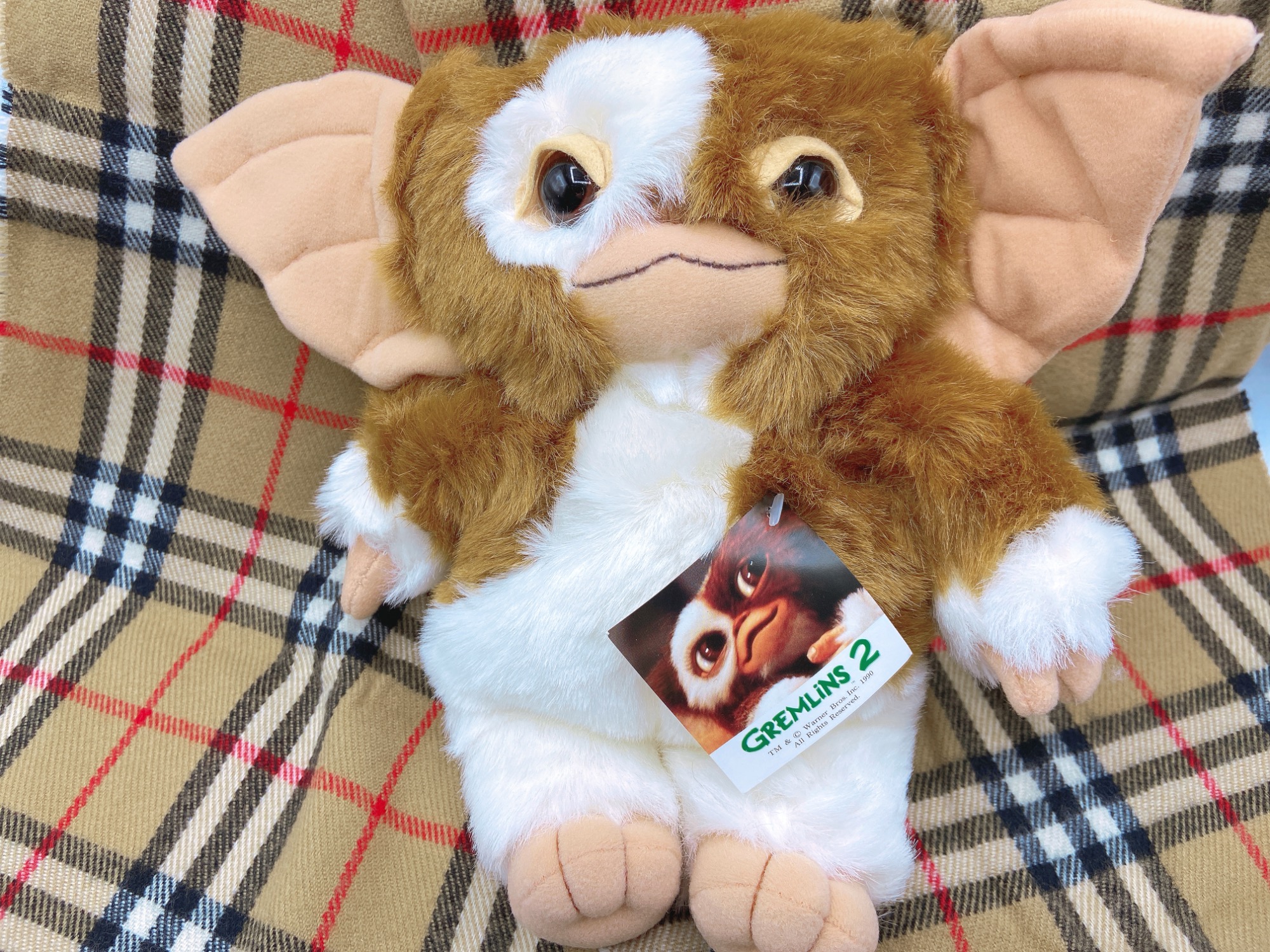 懐かしい・・・】ギズモのぬいぐるみが入荷しました♪｜2025年12月09日