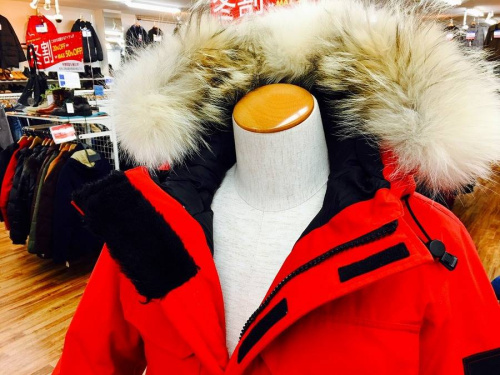 カナダグース（CANADA GOOSE）のExpedition Parka