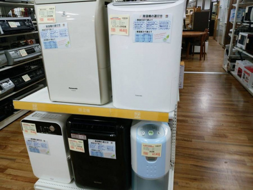 市川の夏