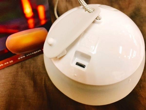 ランタンの市川