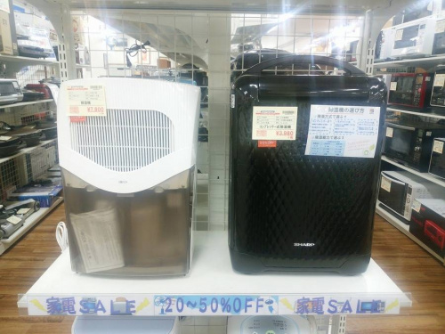 サマーセールの市川