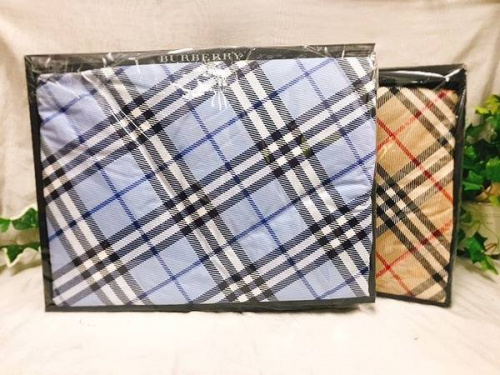 ひざ掛けのバーバリー（BURBERRY）