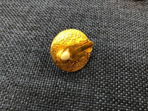 ケースのイヤリング