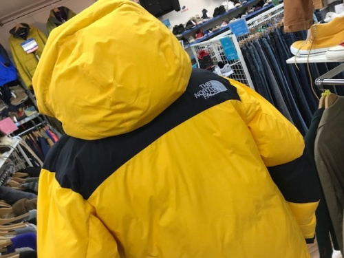 THE NORTH FACEのCANSADA GOOSE