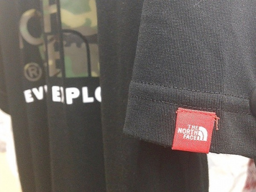 THE NORTH FACE ノースフェイスの夏 古着 千葉