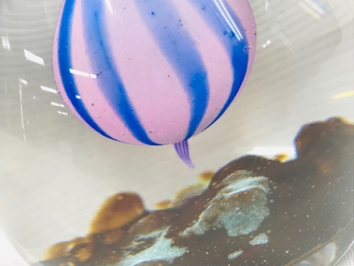 クリスタルペーパーウェイトのcathness