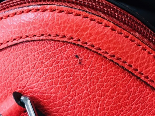 19年06月22日：画像７