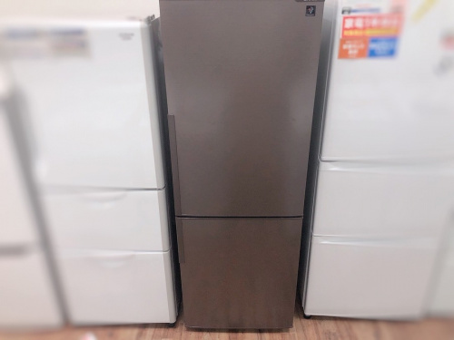 プラズマクラスターの冷蔵庫　安い