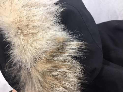 カナダグース　安いの千葉船橋中古洋服情報
