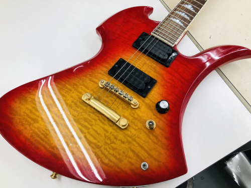 ギターのエレキギター