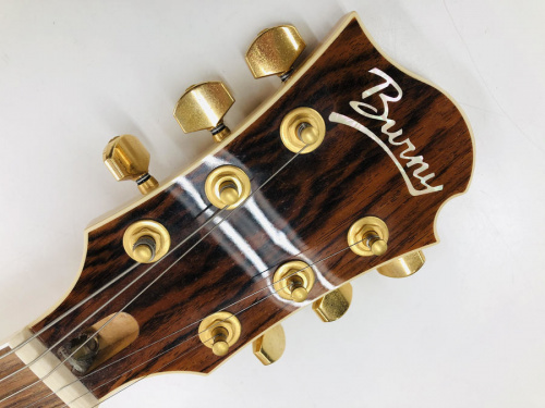 エレキギターのBurny