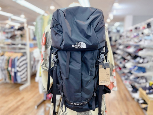 バッグのTHE NORTH FACE