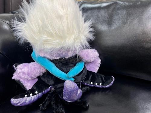 レア商品！】 ユニベアシティのアースラをご紹介♪｜2023年02月02日