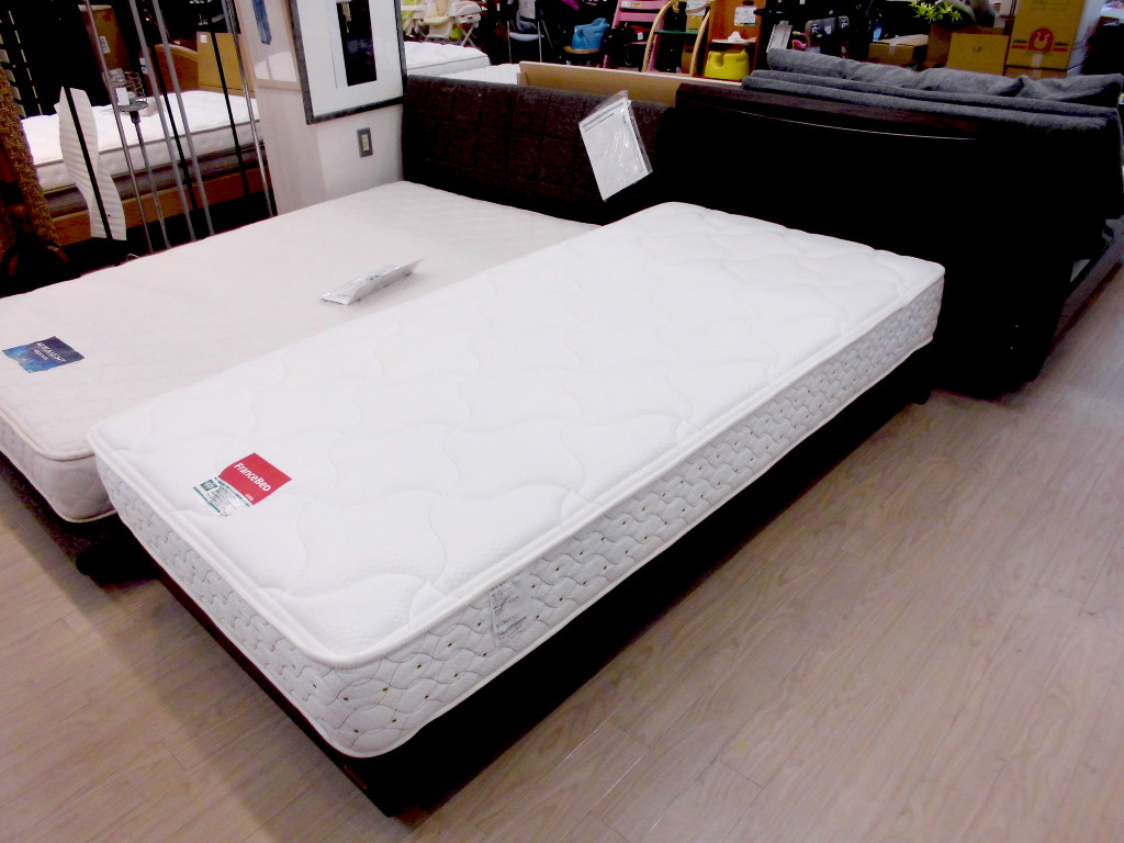 France Bed フランスベッド クイーンサイズ ニトリ コラボ d885+