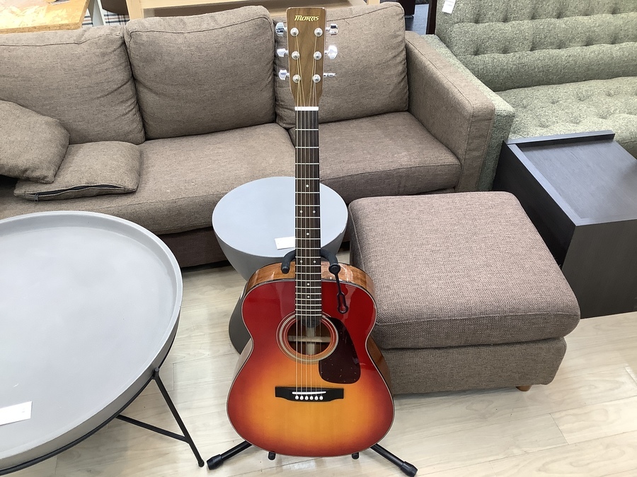 Morris（モーリス）のアコースティックギター入荷しました