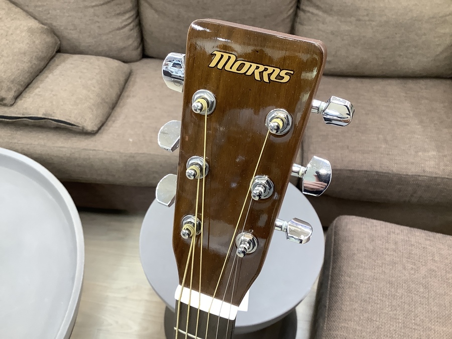 Morris（モーリス）のアコースティックギター入荷しました