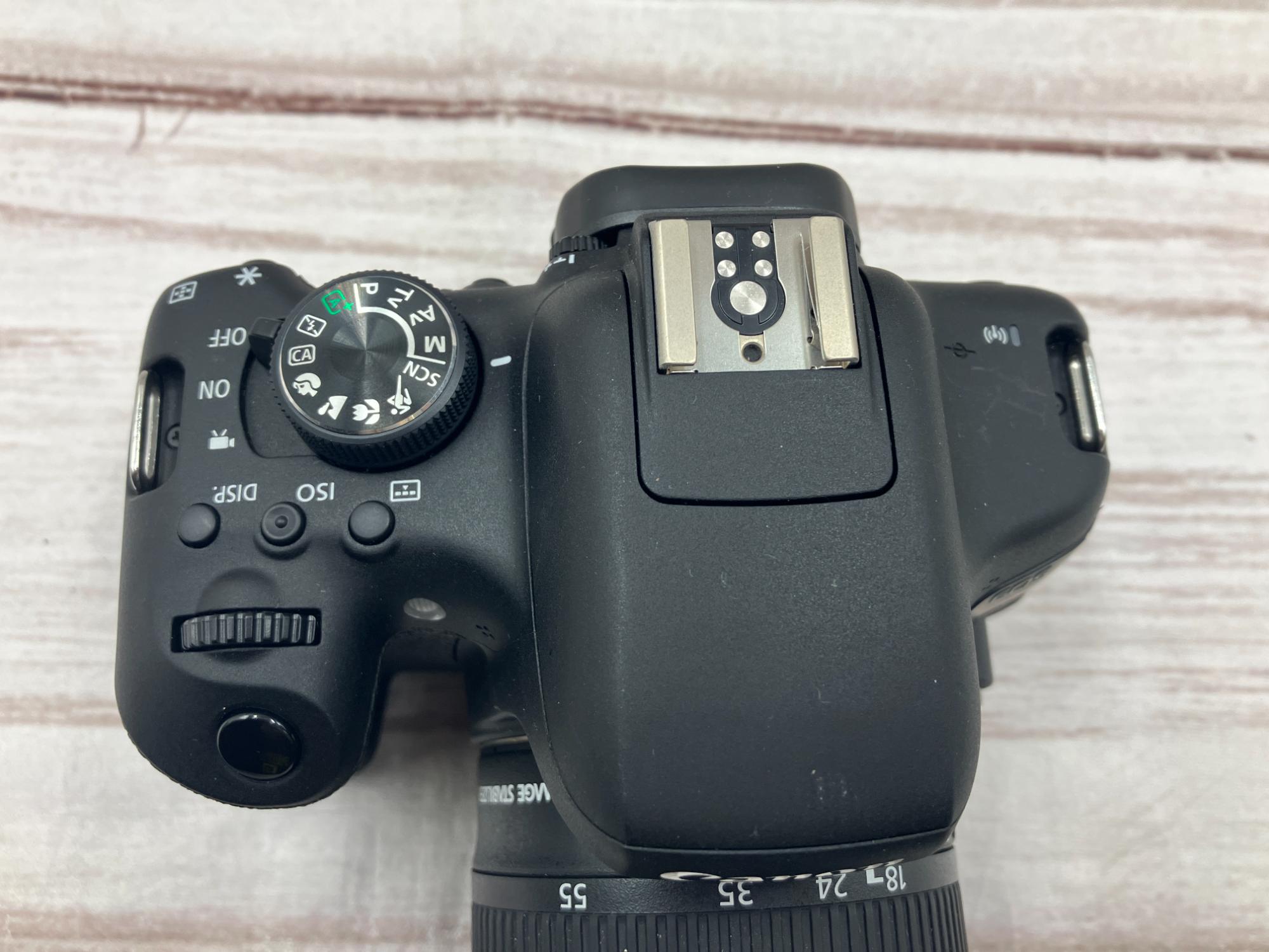 Canon / キャノン 】デジタル一眼レフカメラ が入荷いたしました