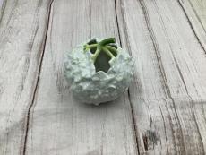 トレファク名古屋徳重店ブログ