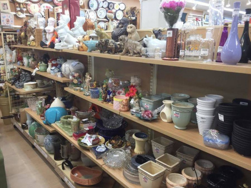 17年01月08日：画像７