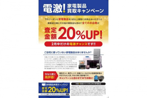 メンズファッションのレディースファッション