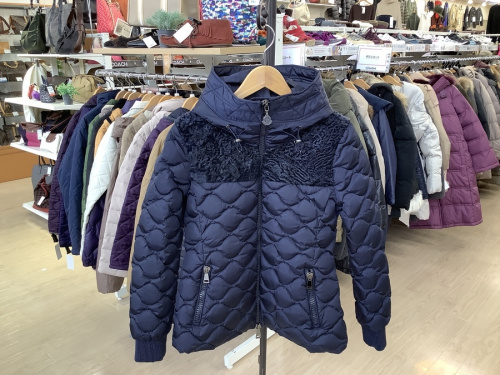 ジャケットのダウンジャケット