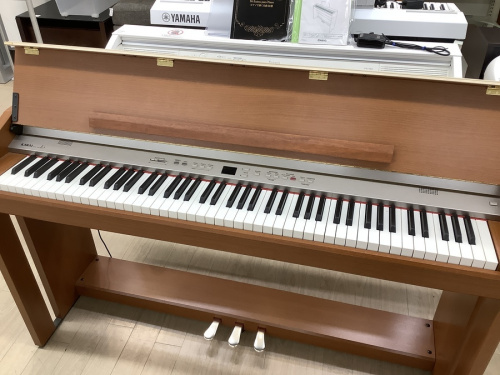 鍵盤楽器の電子ピアノ