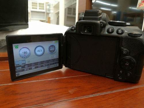 NikonのD5300
