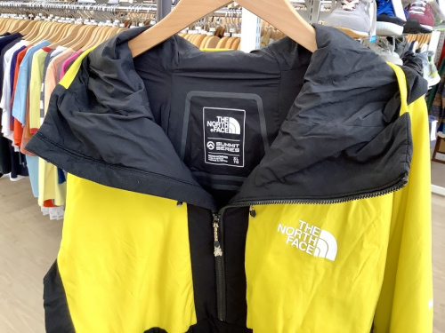 EXP L3 VENTRIX HALF ZIP HOODIEのTHE NORTH FACE