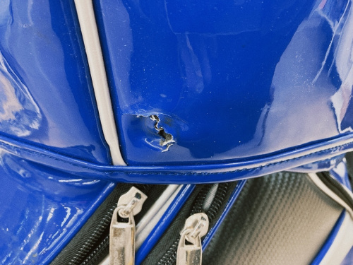 キャディバッグのレクサス