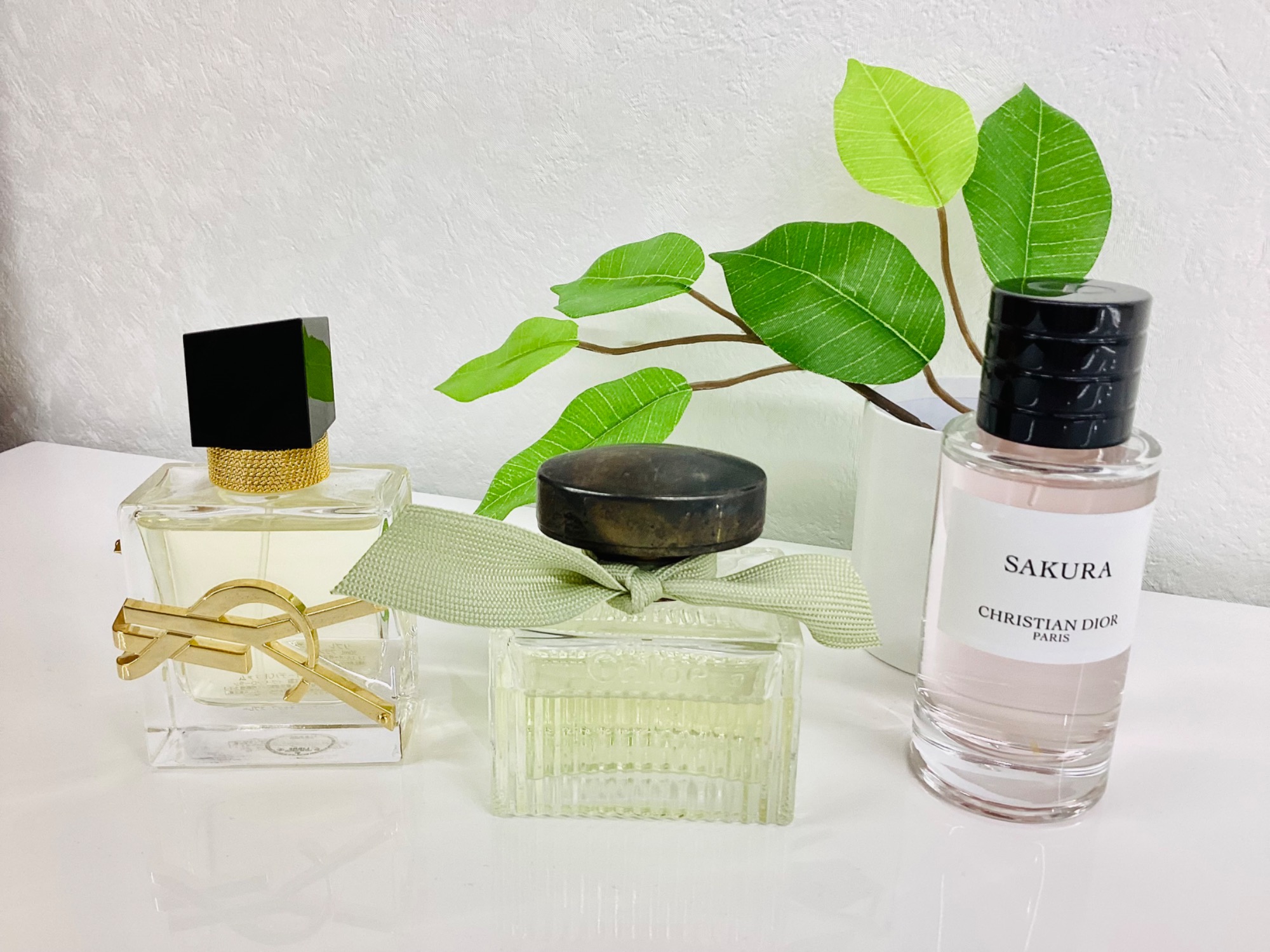 本日はフレグランスコーナーより人気のブランド香水をご紹介♪｜2024年