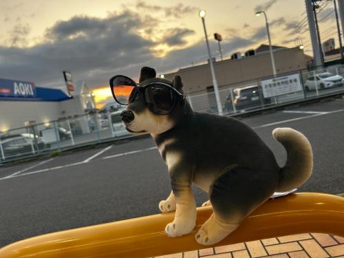 トレファクブログ画像1