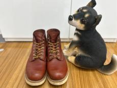 トレファク滋賀草津店ブログ